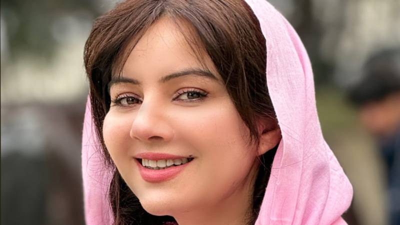 Rabi Pirzada tortured on Lahore road, suspect caught 