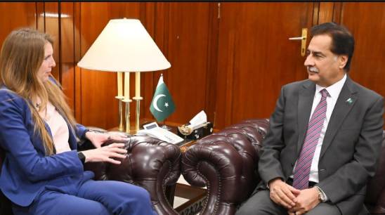 NA speaker, UK high commissioner discuss parliamentary ties