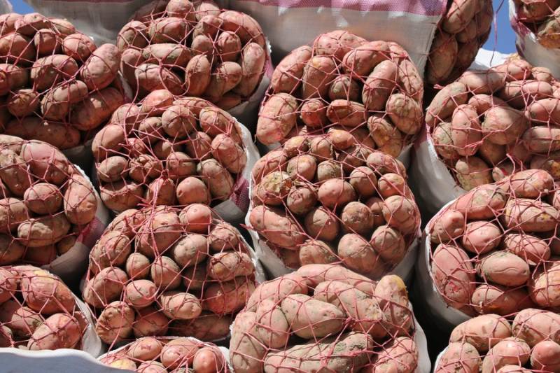 Kazakhstan considering importing 50,000 tonnes of potatoes from Pakistan