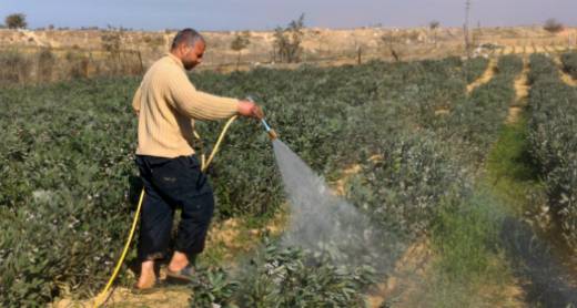 Lebanon accuses Israel of spraying herbicide in border areas