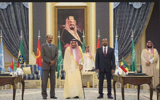 Horn of Africa becoming 'battleground' for rival Gulf monarchies