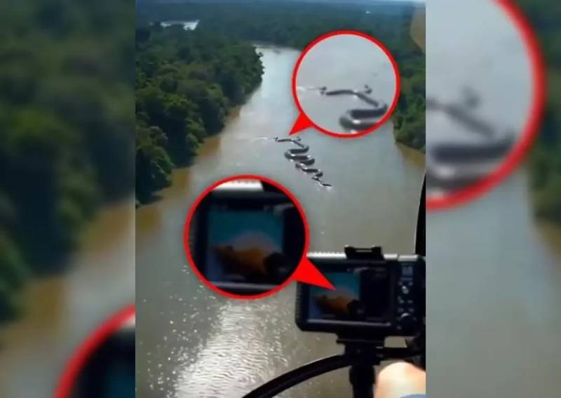 Giant anaconda clip that went viral online found Al-Generated 