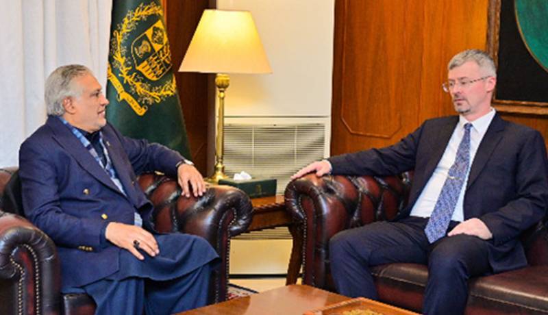 Ishaq Dar, Russian envoy vow to boost bilateral relations