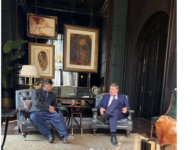 EU envoy calls on Gohar Ejaz, discusses renewal of GSP Plus status
