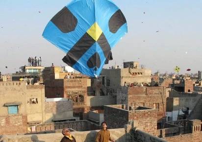 Basant kite string, a bird, and the responsibility of the state