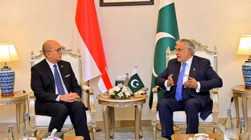 Dar holds talks with Indonesian Investment Minister in Islamabad