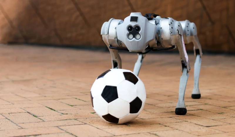 Robot dogs to help Mexican police at 2026 World Cup
