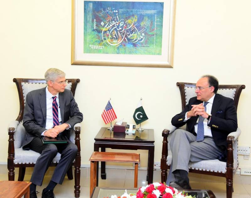 Aurangzeb tells US officials Pakistan expediting privatisation process