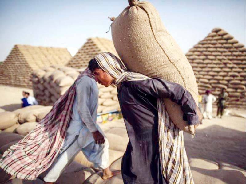 Licenses of three flour mills cancelled over illegal movement