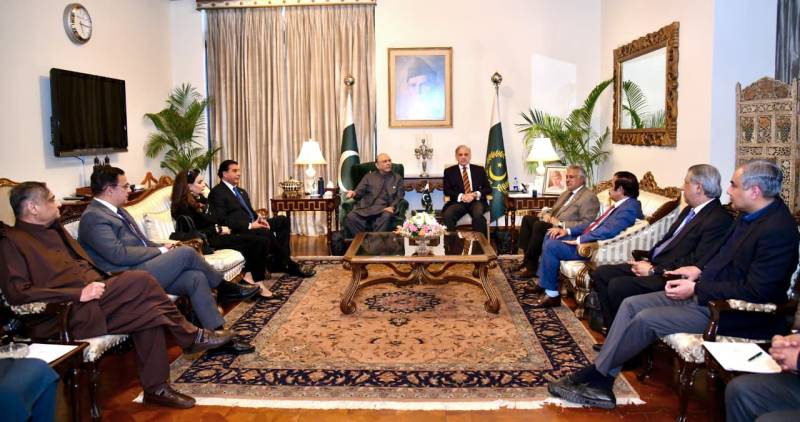 PM Shehbaz discusses political and economic situation with President