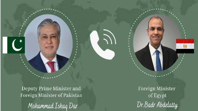 DPM, Egyptian FM discuss matters of mutual interest