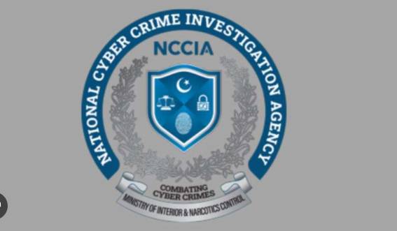Hashmat Kamal transferred, Ali Wasim appointed as Director NCCIA 