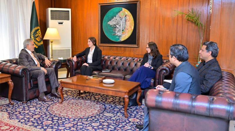 Ishaq Dar discusses Pak-US bilateral ties with Natalie Baker
