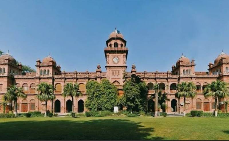 LHC orders framing SOPs for protection of trees in Punjab University