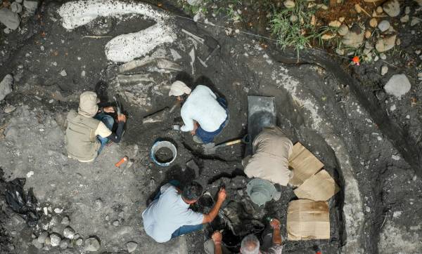 Costa Rica digs up mastodon, giant sloth bones in major archaeological find