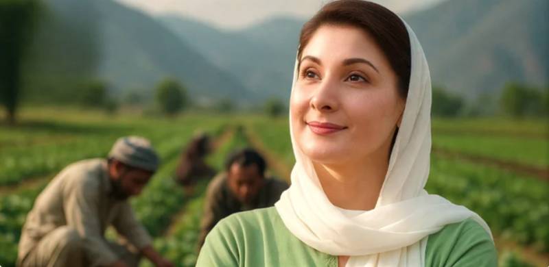 CM Maryam appeals to PM for urgent potato export reforms