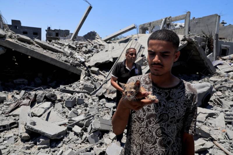 Trump tells Hamas to proceed with 'Full and Immediate' disarmament
