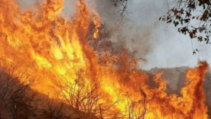 Fire erupts in forest of Koh-i-Jandaran in Balochistan