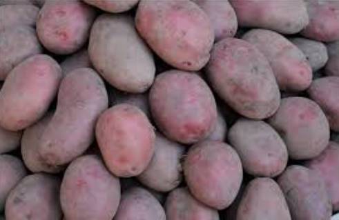 Jam Kamal chairs meeting on potato surplus, export enhancement