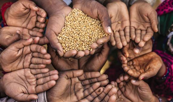 Hunger is expected to increase 30pc till 2050 due to climate change