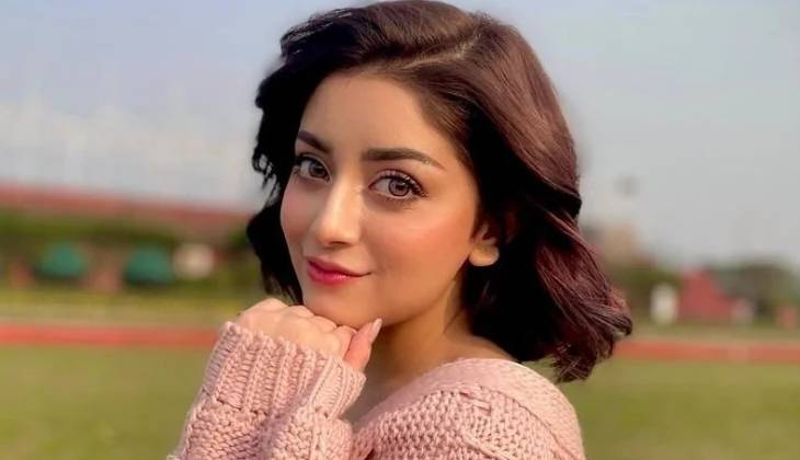 Alizeh Shah’s candid post wins fans back