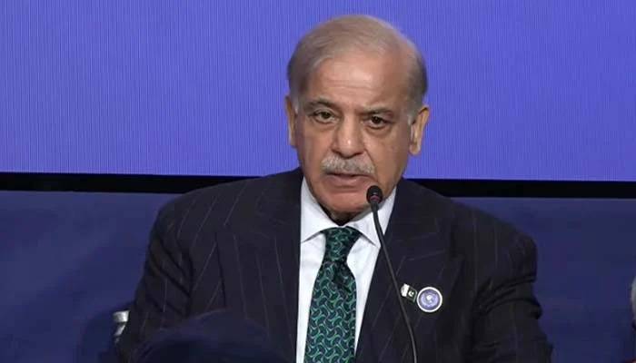 PM Shehbaz calls for independent Palestinian state as per UN resolutions