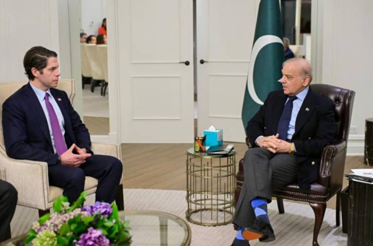 PM Shehbaz invites DFC to enhance financing for Pakistan’s mining, IT projects