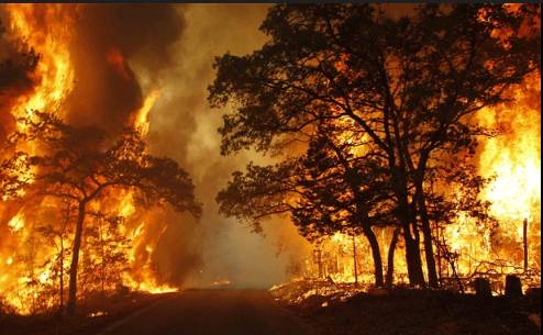 Hill fire near Tarbela Dam threatens heavy transmission line