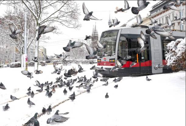 Austria snowstorm leaves five dead, road and power chaos