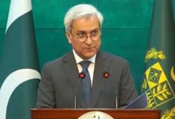 Pakistan, seven other Muslim countries condemn US envoy’s statement: FO