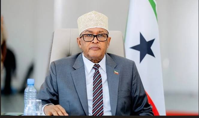 US can access minerals, military bases in Somaliland: minister to AFP