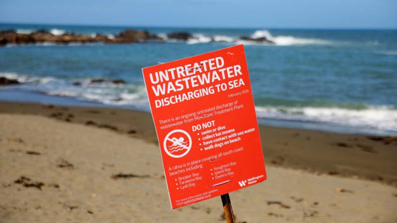 New Zealand mayor swims to allay sewage contamination fears