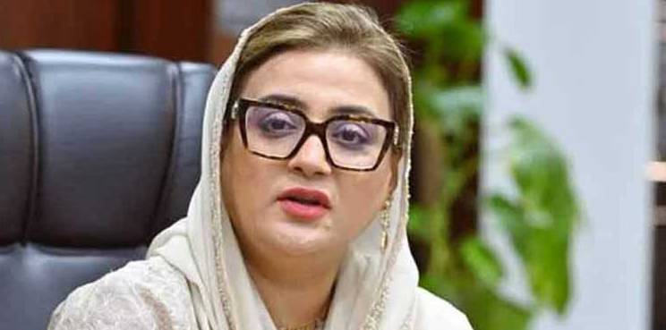 PML-N lashes out at PTI for maligning Punjab CM Maryam