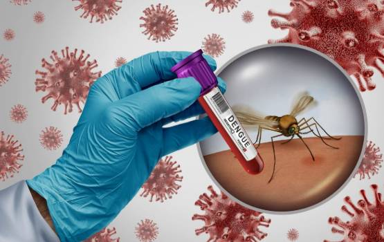 India moves closer to dengue vaccine as final trials underway