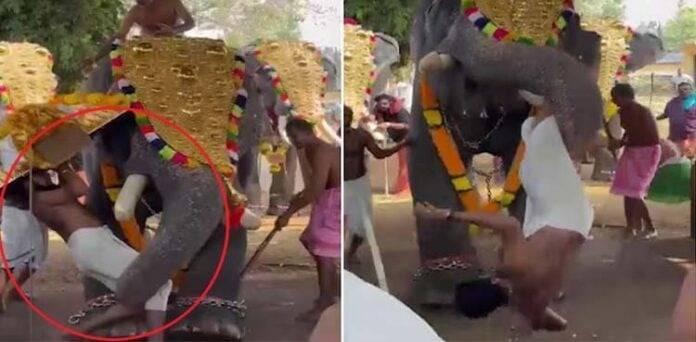 Rampaging elephant injures man during temple festival in India