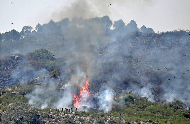 Fire breaks out in Islamabad Margalla Hills forests