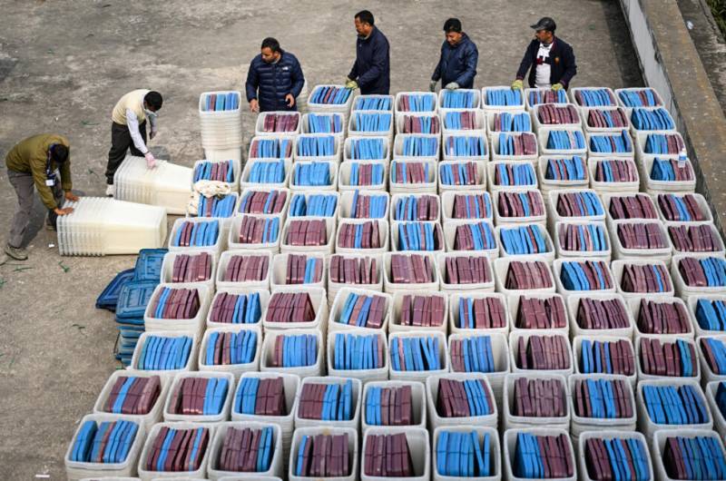 AI disinformation turns Nepal polls into 'digital battleground'