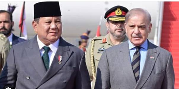 Pakistan, Indonesia express concern over escalating ME crisis