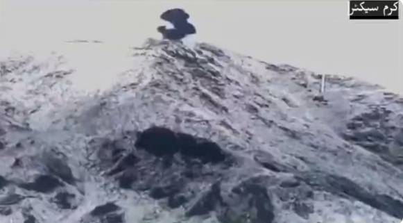 Pakistan military destroys several Afghan Taliban posts in Kurram sector 