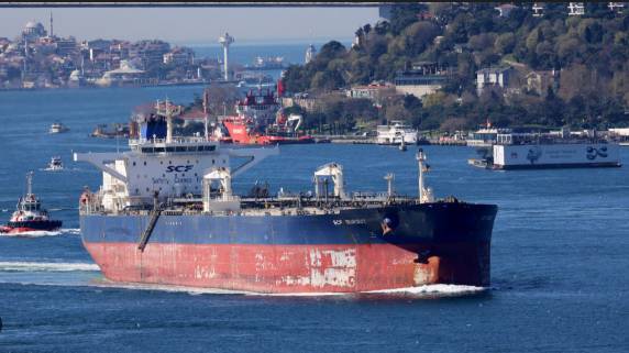 US approves temporary sale of stranded Russian oil to India