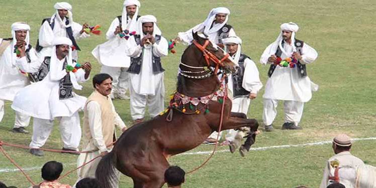 Financial bids open for Horse and Cattle Show 2026 celebrations in Lahore