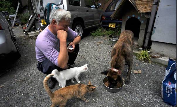 Former Fukushima worker devotes life to abandoned pets