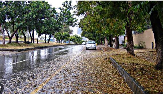 Rain turns weather pleasant in twin cities