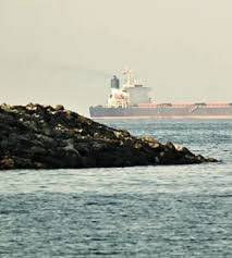  Iran let Turkish-owned ship cross Hormuz strait: minister