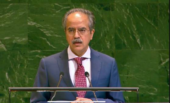 India has become world's biggest Islamophobic state: Pakistan