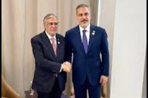 Pakistan, Turkish FMs call for de-escalation in Middle East