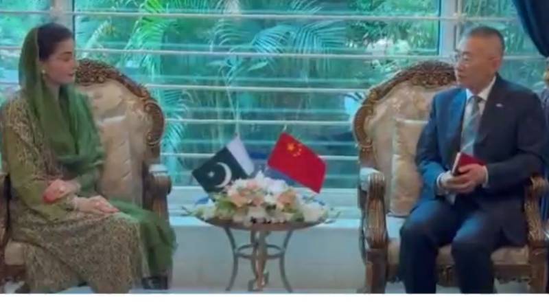 CM Maryam, Chinese envoy agree to promote strategic, CPEC cooperation