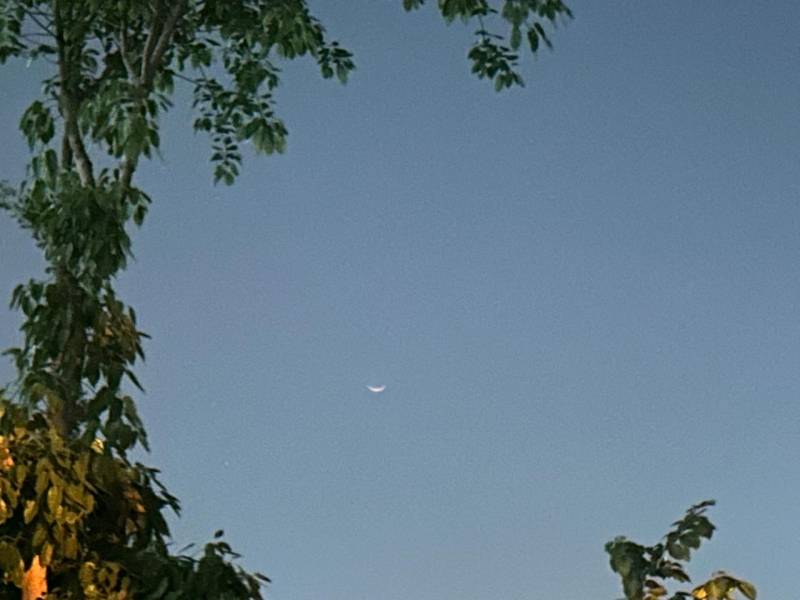 Pakistan to celebrate Eid-ul-Fitr tomorrow as Shawwal moon is sighted