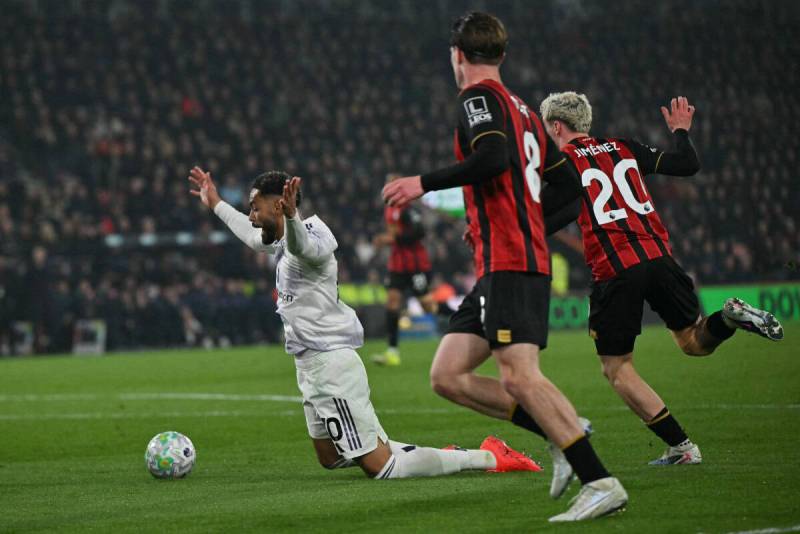Carrick 'baffled' by inconsistent penalty calls as Man Utd held