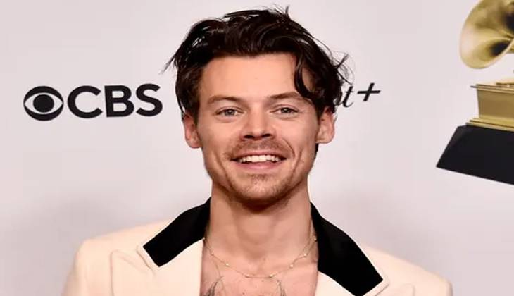 Harry Styles prioritizes wellness with £20K home upgrade